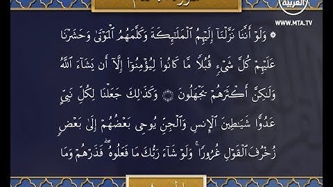تلاوة الجزء الثامن من القرآن الكريم بصوت أيمن المالكي