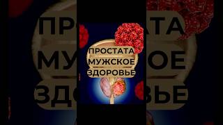 Простата👨 #shorts #здоровье #простата #интересно #факты #советы #человек #рекомендации #зож #жизнь