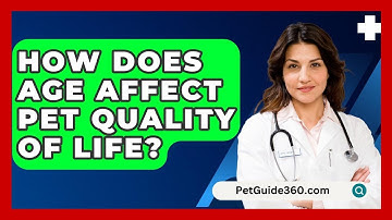How Does Age Affect Pet Quality Of Life? - PetGuide360.com