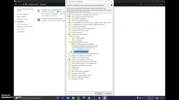 Como activar el localhost