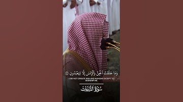 أواخر سورة الذاريات | لفضيلة الشيخ د.#عبدالله_القرافي من تراويح #المسجد_النبوي_الشريف