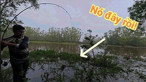 24H đi câu cá rừng tràm, sông vùng biên giới - Đốt luôn bến sông