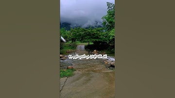 الشيخ احمد العجمي     سوره التين