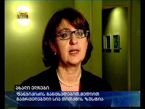 ახალი ელჩები