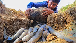 Amazing Fishing on Dry Season - Catch a lot Fish in Dry Land - Fishing BTB