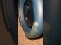 Chill bass