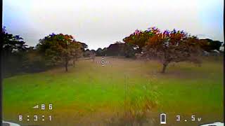 Celebrity EMAX TINYHAWK(better vtx receiver multipathing cure) Wealth