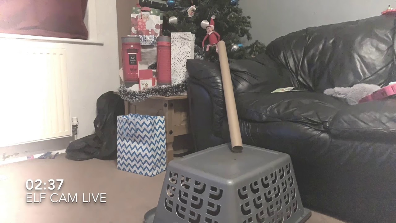 Elf Cam Live - YouTube