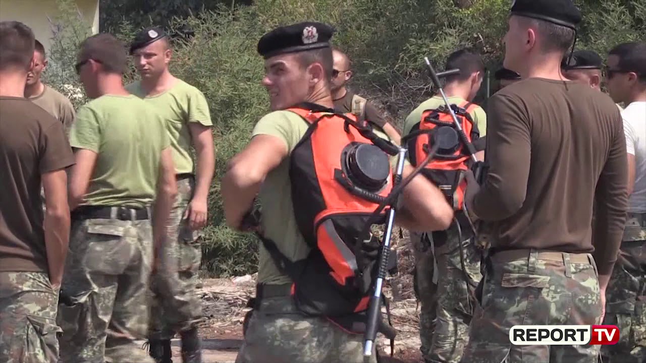 shqiptare meaning Report Tv zbardh raportin 280 vatra të qëllimshme nëpër Shqipëri, ja 3 qarqet më të prekura