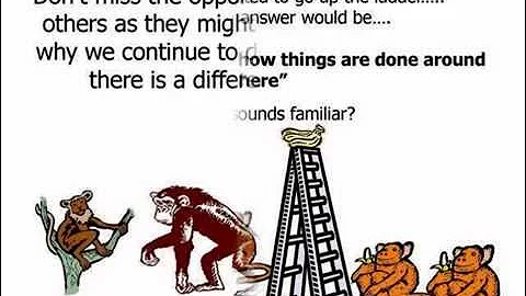 What is the Five Monkeys Experiment?