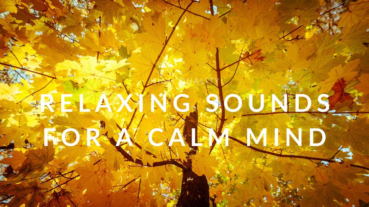 Relaxing And Ambient Sounds For A Calm Mind Deep Sleep Meditation relaxing-and-ambient-sounds-for-a-calm-mind-deep-sleep-meditation
