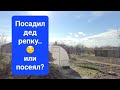 41ч🌹Жучка переехала/Чем кормим/Побелка/Реакция на комментарии/#купилидомнаюге #переезднаюг