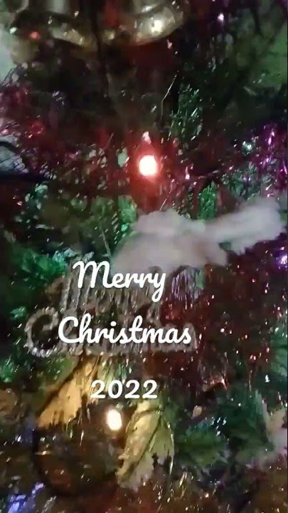 Selamat Natal 2022 #natal #klosot #pohoncemara