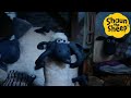 Shaun the sheep  panic in the barn  cartoons for kids  full episodes compilation 1 hour