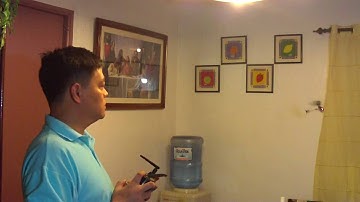 The 4 Channel 10 gram Micro: The Pilot and his helicopter