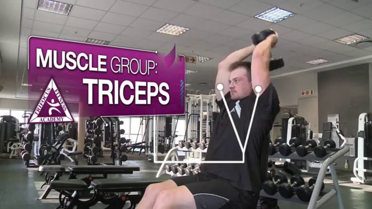 Dumbbell Tricep Overhead Extensions - YouTube