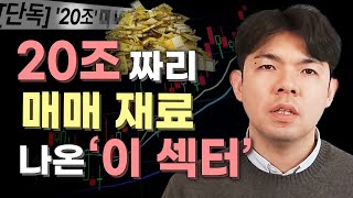 이번주 상승은 여깁니다