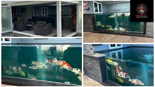 12,000 GALLON INDOOR POND! **NEW KOI** **RUNNING COSTS**