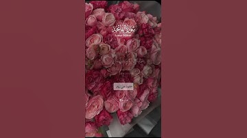 سورة الفاتحة بصوت القارئ علي وائل 🤍🌿