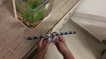 Fish from Snake Cube