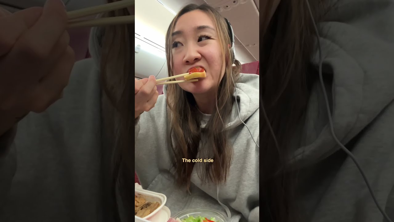Everything I Ate On My Economy Class Flight From Japan To LA 