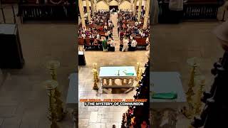 One Bread, One Body, One Christ | The Mystery of Communion #popeleoxiv #eucharist #communion