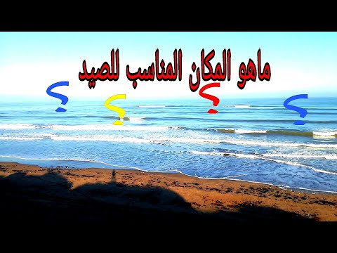 فيديو: كيفية اختيار القفص المناسب لصيد الأسماك