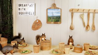 Breakfast With Squirrels and Calm Music for increased focus
