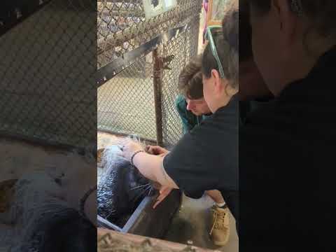 Petting and feeding
