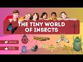 The Fascinating World of Insects ile ilgili video