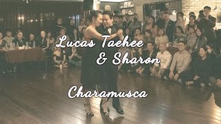 Lucas Taehee &amp; Sharon - Charamusca