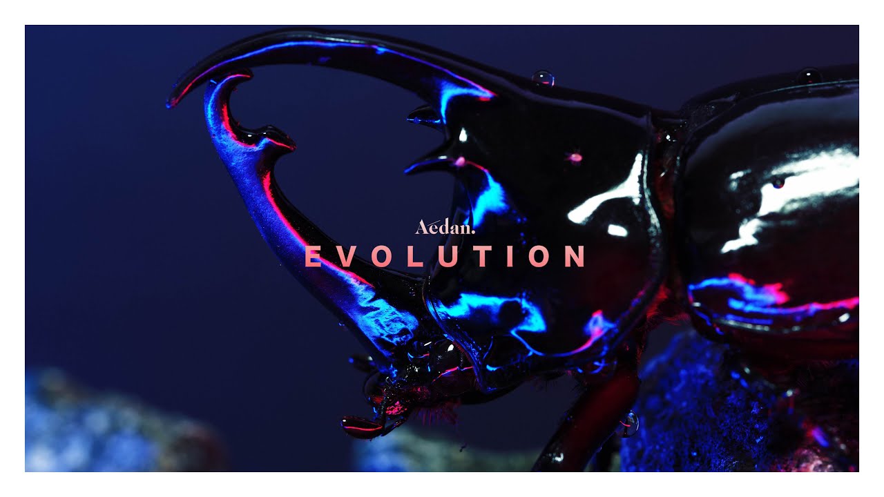 在 YouTube 上观看 Aedan - EVOLUTION 在 YouTube 上观看 Aedan - EVOLUTION