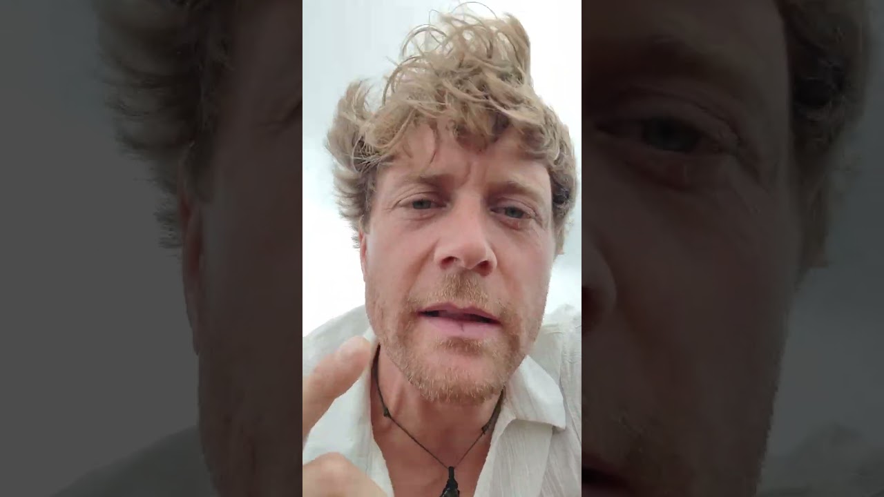 Visualisation d'avant course