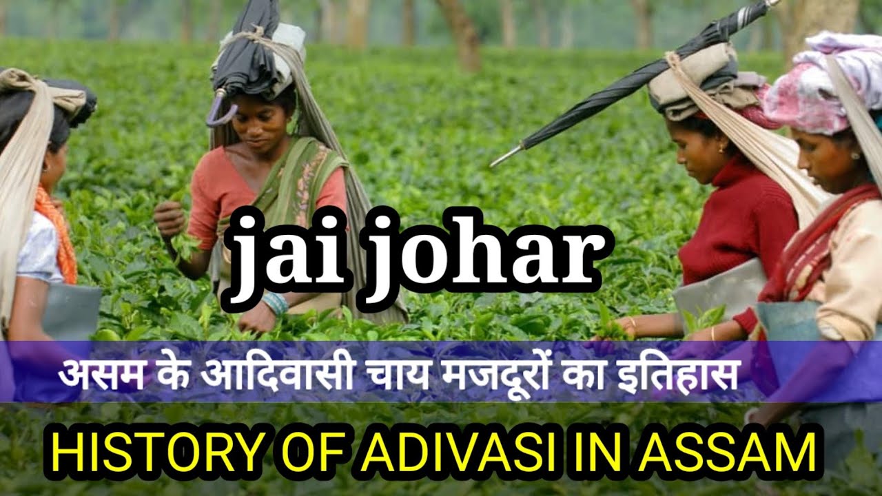 History adivasi History In Assam adivasi tea History adivasi History In Assam adivasi tea