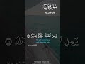   فارس عباد
