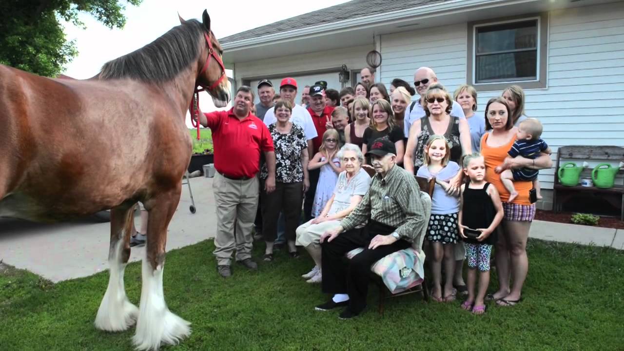 FathersDaySurprise.mov