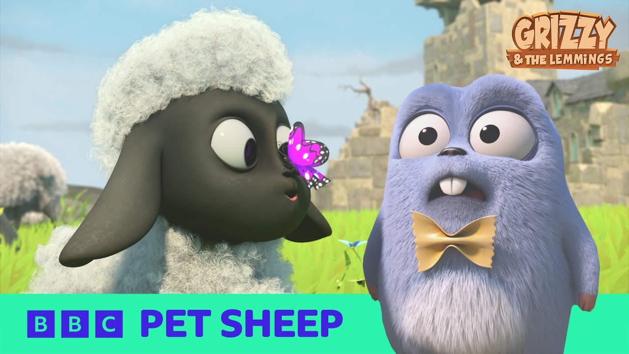 Grizzy and The PET SHEEP?! | Grizzy and The Lemmings | Cartoons for