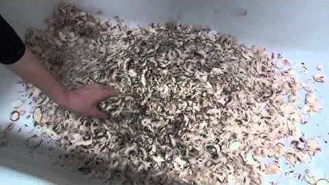 Urschel Model CC Cutter Slicer Demonstration