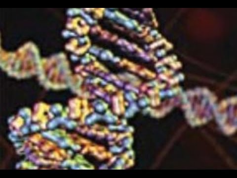 105 - The Genes of Genesis / Genesis Conflict - Walter Veith