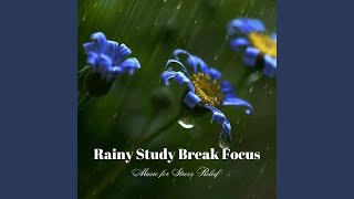 Rainy Study Interlude
