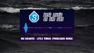 Big Gigantic - Little Things (ProbCause Remix)