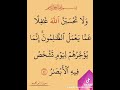 الاية 42 من سورة ابراهيم رحم الله الشهداء 