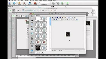 4D Self-training: Windows & Variables