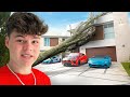 A tree destroyed my house