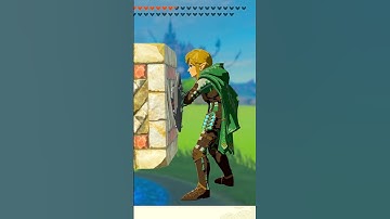 Did you know about this UNIQUE Fuse Object in Tears of the Kingdom