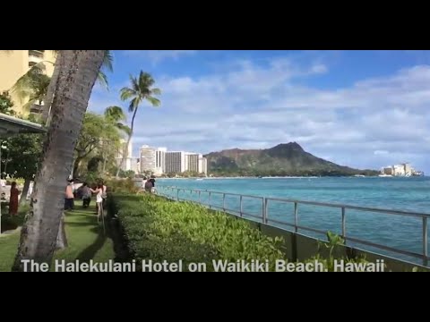 Video: 11 Bästa Baksmälla Botemedel I Honolulu