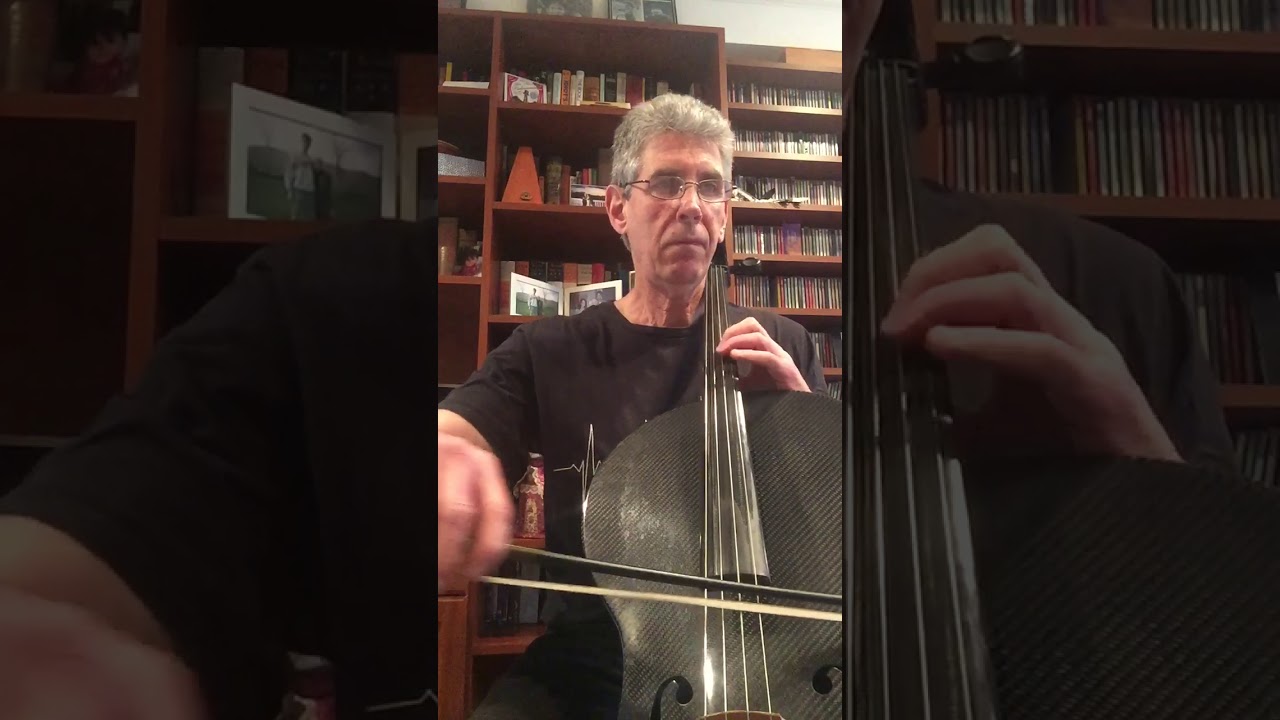 What a Wonderful World, cellist Marty Steinberg, Romanza Music