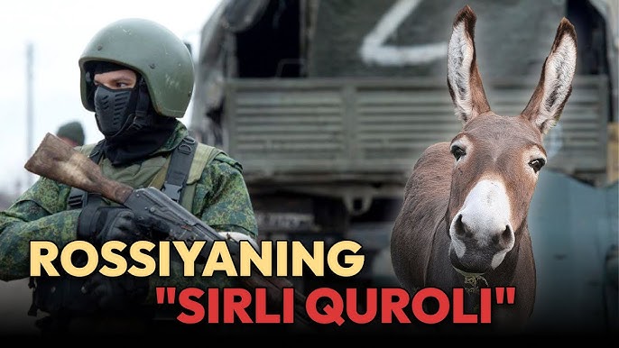 40 yoshli fohishalar ishtirokidagi onlayn porno videolar Kronverk Cinema Syktyvkar jadvali