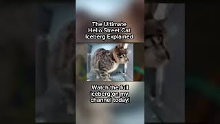 Lil Ms. Scallywag - Ultimate Hello Street Cat Iceberg Explained