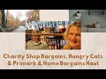 Weekly Vlog: Charity Shop Bargains, Hungry Cats & Primark & Home Bargains Mini Hauls